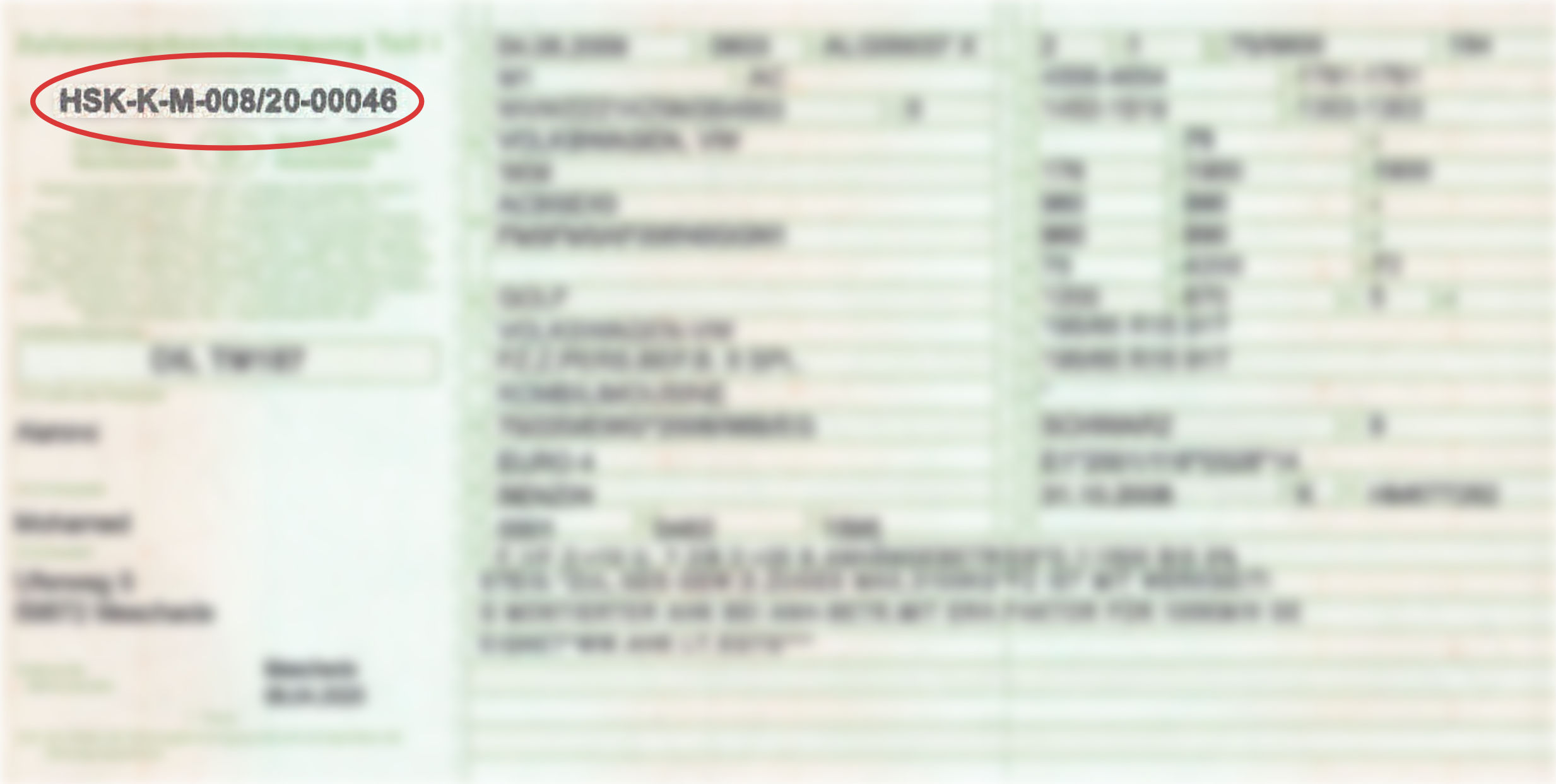 Fahrzeugschein Beispiel