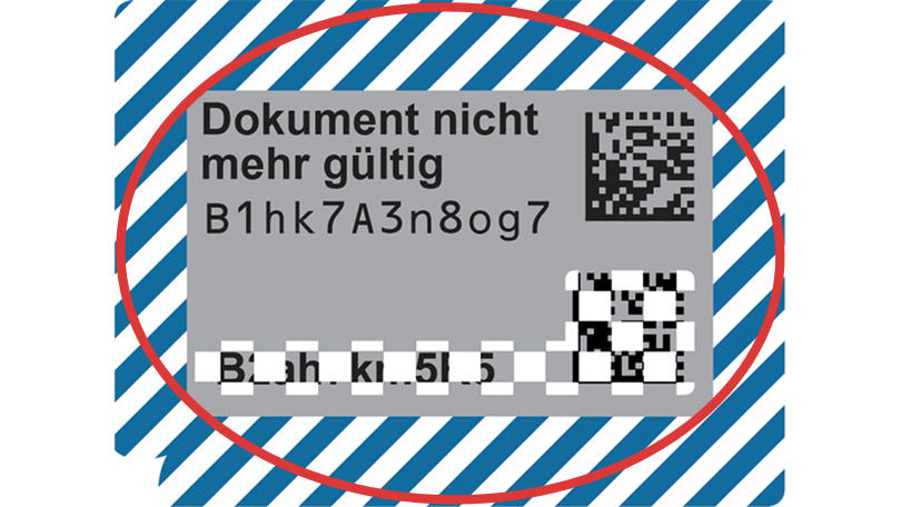 Fahrzeugschein Beispiel